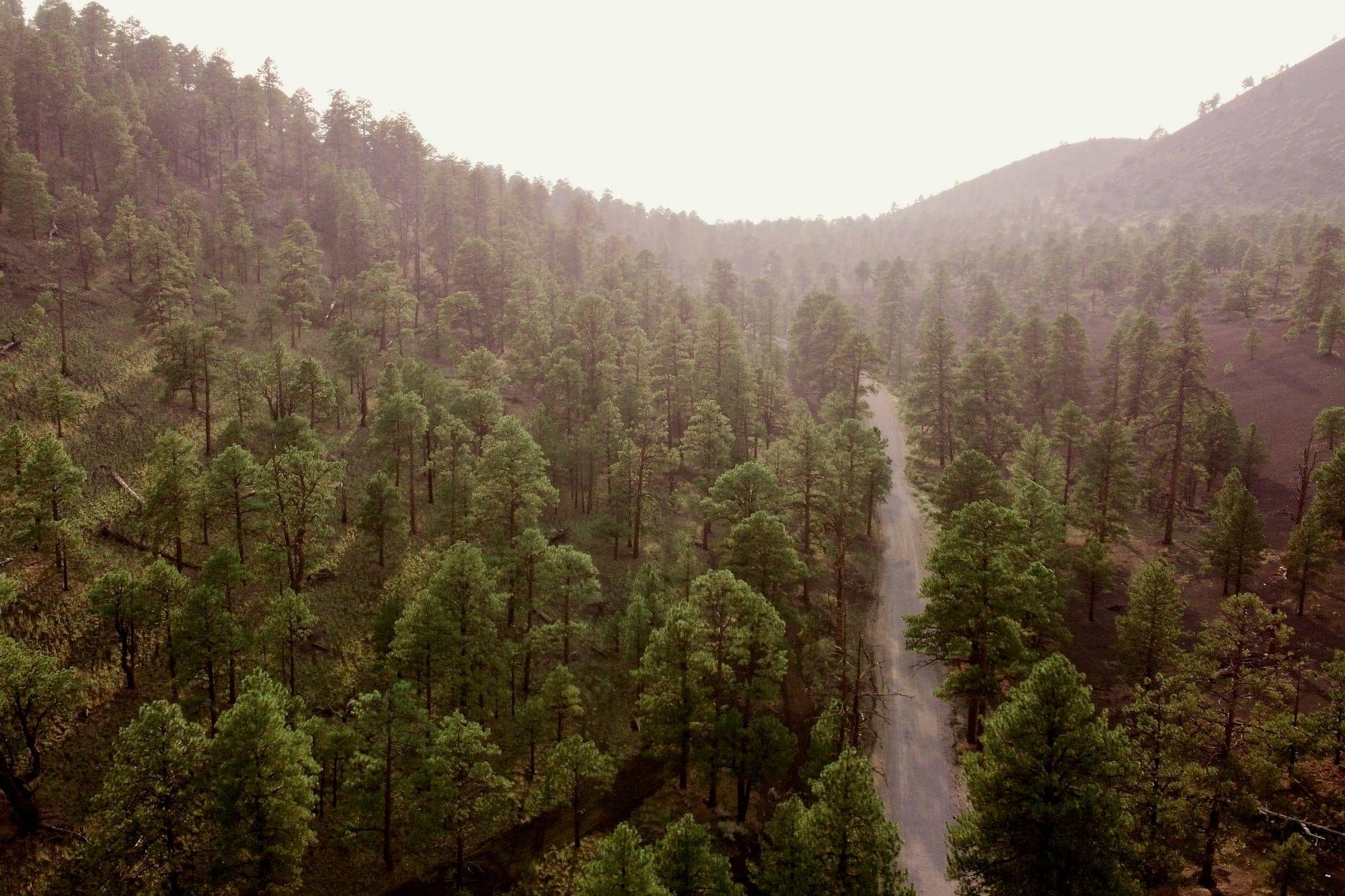 Flagstaff, Arizona
